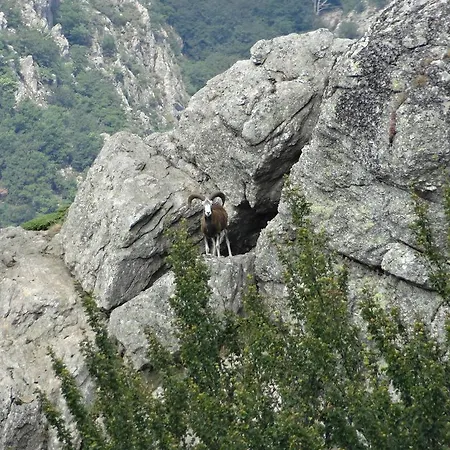 La Le Poujol-sur-Orb