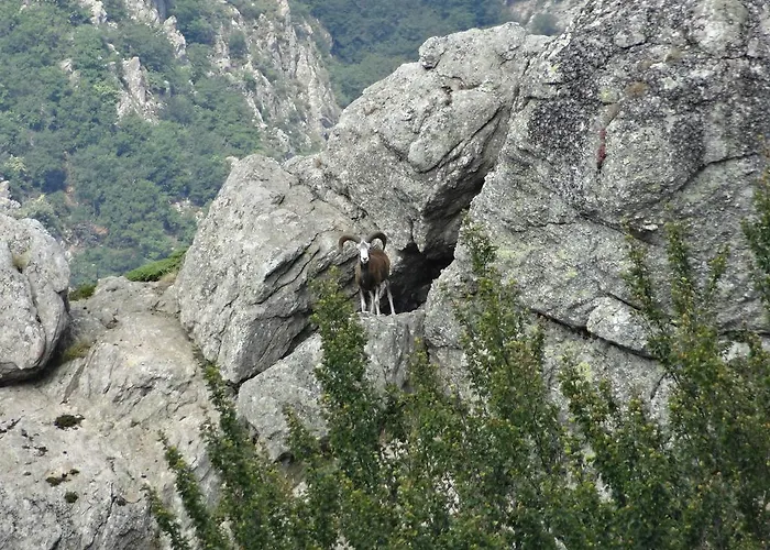 La Le Poujol-sur-Orb